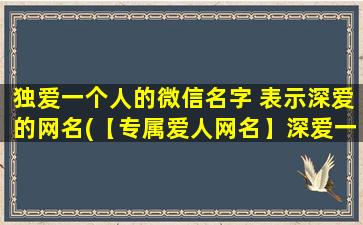 独爱一个人的微信名字 表示深爱的网名(【专属爱人网名】深爱一个人的微信名字)